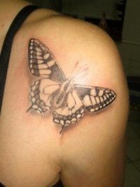 Butterfly Tattoo 50 fotók, vázlatok, értéke