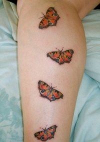 Butterfly Tattoo 50 fotók, vázlatok, értéke