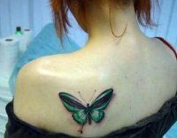 Butterfly Tattoo 50 fotók, vázlatok, értéke