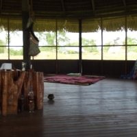 Tour toll ünnepségen ayahuasca (ayahuasca, ayahuasca)