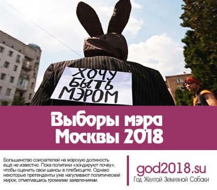 Polgármesteri választások Moszkvában 2018-ban