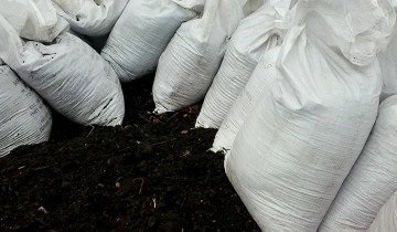 Növekvő gombát otthon A-tól Z-ig (gomba) Növekvő gombát otthon tól Z-ig
