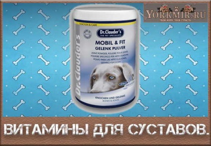 Vitaminok kutyák ízületi áttekintést (vitaminok kutya ízületek) Vitaminok kutyák ízületi áttekintést
