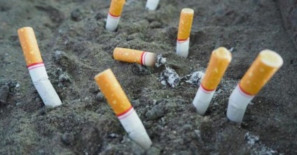Hatása a nikotin az emberi szervezetre