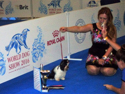 World Dog Show Moszkva - 2016 fényképpel