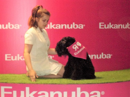 World Dog Show Moszkva - 2016 fényképpel (kutya) World Dog Show Moszkva - 2016 fényképpel
