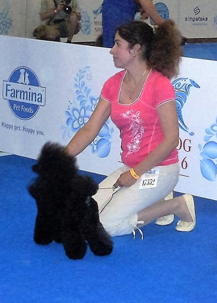 World Dog Show Moszkva - 2016 fényképpel