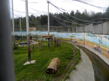 Jaroszlavl állatkert - felülvizsgálata, megjelenítések és képek (Jaroszlavl) Jaroszlavl állatkert - felülvizsgálata, megjelenítések és fotók