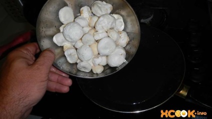 Rántott gomba esőkabátok - egy recept a finom szakács az étel