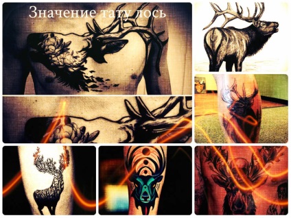 Jelentés tetoválás jávorszarvas fotók, vázlatok, a történelem és értelmét rajzok