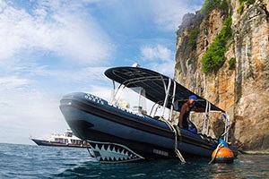 Areda spidbota diversaint Phuket, az árak, feltételek, szállásfoglalás (diversaint) Areda spidbota diversaint Phuket, az árak, feltételek, szállásfoglalás
