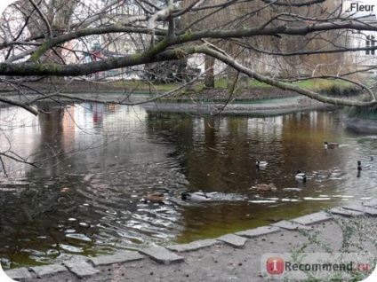 Csehország Karlovy Vary - „csodálatos sarkában a Cseh Köztársaság