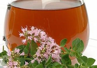 Oregano haszon és kár (károk) Oregano előnyei és hátrányai