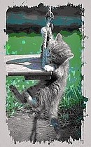 Fotó - Macska a fa (tree) Fotó - Macska a fán