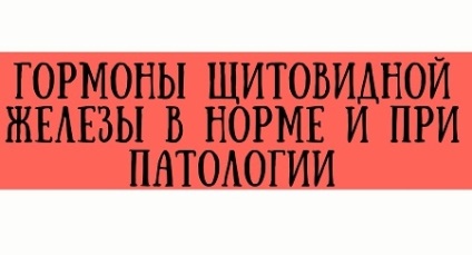 Pajzsmirigy hormonok (pajzsmirigy) A pajzsmirigyhormonok