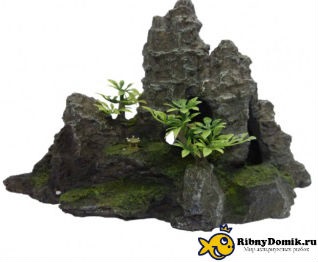 Grotto akvárium saját kezűleg faj leírása (kéz) Grotto akvárium saját kezűleg faj leírása