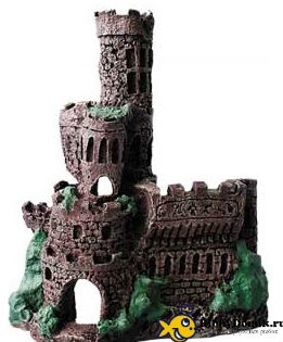 Grotto akvárium saját kezűleg faj leírása (akvárium) Grotto akvárium saját kezűleg faj leírása