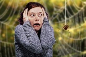 Entomophobia - hogyan lehet megszabadulni a félelem rovarok (Entomophobia) Entomophobia - hogyan lehet megszabadulni a félelem a rovarok