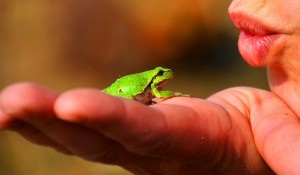 Érdekességek a békák, élet virágai