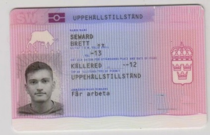 Hogyan juthat el a állampolgárságot és útlevelet az állampolgár az Orosz Föderáció Svédország