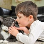 Coto óvoda Németországban - kototeka - a legérdekesebb dolog a világon a macskák