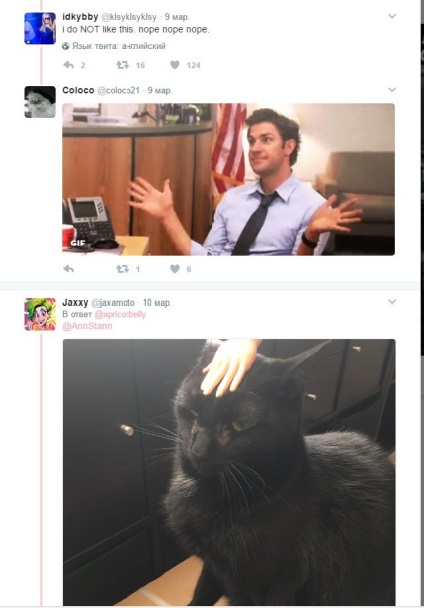 Macska emberi kéz felrobbant Twitter (cat emberi kéz által) Macska emberi kéz felrobbantotta Twitter