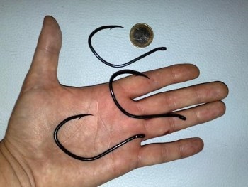 Kampó harcsa (soma) Hook harcsa