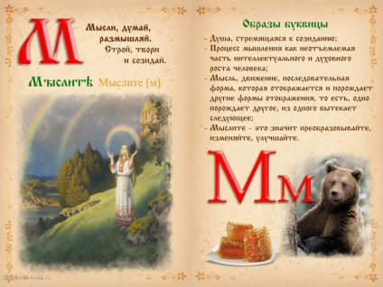 Méz, méhsejt méz, természetes méz (méhek) Méz, méhsejt méz, természetes méz