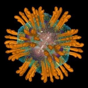 A hordozó a hepatitis C, hepatitis C vírus hordozó, a hepatitis B vírus hordozóval b c, hepatitis (alapvetően) A hordozó a hepatitis C, hepatitis C vírus hordozó, a hepatitis B vírus hordozóval b c, hepatitis