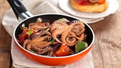 Octopus - és kalorikus tulajdonságok (tulajdonságok) Octopus - kalória és tulajdonságai