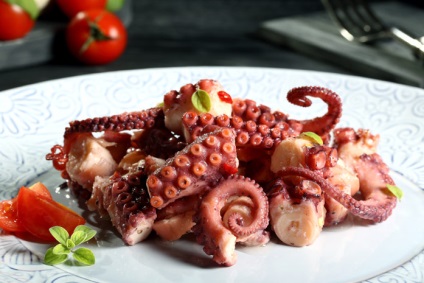 Octopus hasznos tulajdonságok és tápérték