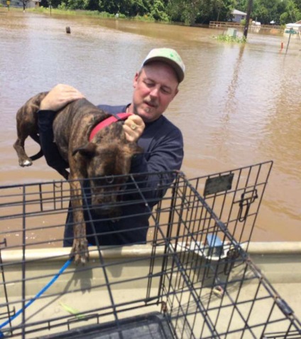 Apa és fia kimentett 40 kutyákat elhagyott az árvíz, és az ideiglenes tartózkodási