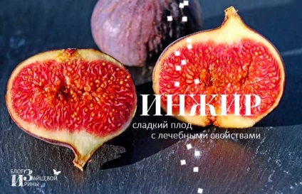 Előnyök és árt a füge és jótékony tulajdonságait, blog Iriny Zaytsevoy (kár) Előnyök és árt a füge és jótékony tulajdonságait, blog Iriny Zaytsevoy