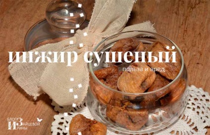 Előnyök és árt a füge és jótékony tulajdonságait, blog Iriny Zaytsevoy (előnyei és hátrányai a füge és jótékony tulajdonságai) Előnyök és árt a füge és jótékony tulajdonságait, blog Iriny Zaytsevoy