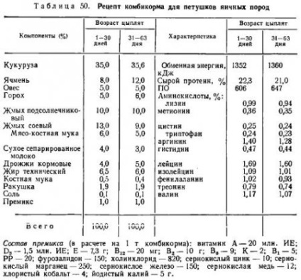 Termelés brojlerhús - szól az állattenyésztés