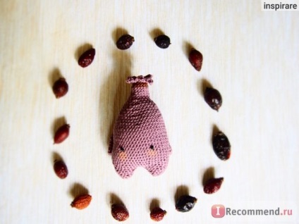 kókusz fonalból (vita cotton) - «szép fonal, amelyből a drága kis Amigurumi (Amigurumi) kókusz fonalból (vita cotton) - «szép fonal, amelyből a kedves kis Amigurumi