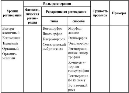 4. szakasz homeosztázis (strukturális fiziológiás homeosztázis) 4. szakasz homeosztázis
