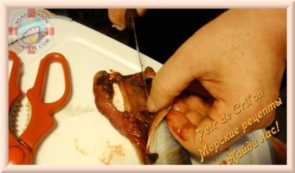 Recept sózás hal hering, sayrovyh sziklák Petr de cril'on (kőzetek) Recept sózás hering halfajok sayrovyh Petr de cril'on