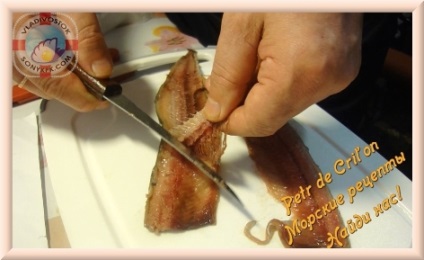Recept sózás hering halfajok sayrovyh Petr de cril'on (sayrovyh) Recept sózás hering halfajok sayrovyh Petr de cril'on
