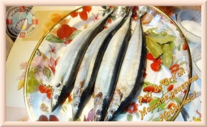 Recept sózás hal hering, sayrovyh sziklák Petr de cril'on (kőzetek) Recept sózás hering halfajok sayrovyh Petr de cril'on