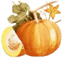 Reotonin - felülvizsgálata reotonine (reotonine) Reotonin - felülvizsgálata reotonine