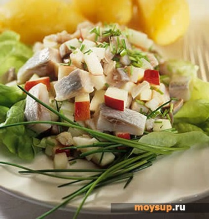 Saláta „magyar” a hering, a tojás és uborka - lépésről lépésre recept (hering) Saláta „magyar” a hering, a tojás és uborka - lépésről lépésre recept
