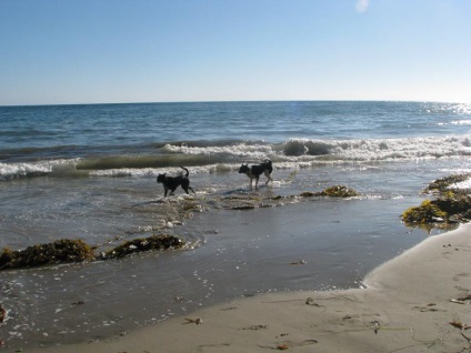 Santa Barbara, mit lehet látni a városban