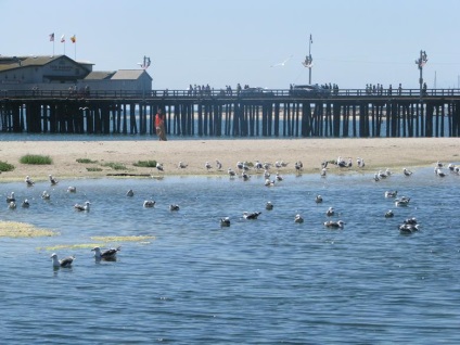 Santa Barbara, mit lehet látni a városban