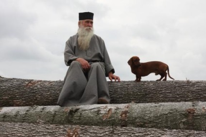 Ez nem tisztátalan állat kutya, és hogy a kutyák és macskák élnek a házban, ortodox élet