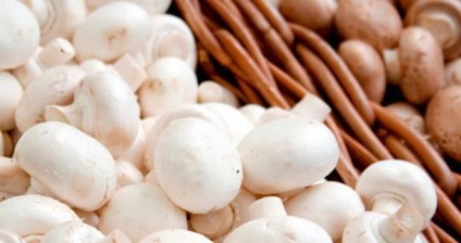 Mennyit tud tárolni a friss gombát a hűtőben