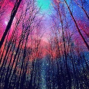 Álomértelmezés erdő, amit az erdőben volt egy álma erdő álom