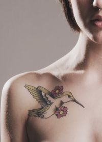 Bird tetoválás 1