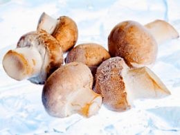 Fagyasztott gomba (gomba) Fagyasztott gomba