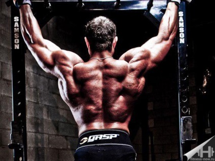 7 alapelvei hogyan izmok erősebb - fitness most (izom) 7 alapelvei hogyan izmok erősebb - fitness most!